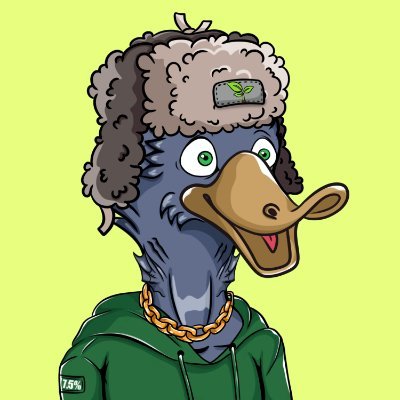 RaiderOfMojos's profile picture.