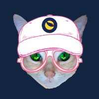 KryptoCat(@krypto_cat22) 's Twitter Profile Photo