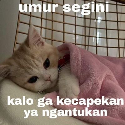 sondesiix's profile picture. gawsa difollow,