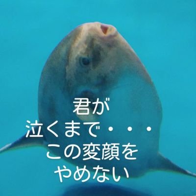 仕事と子育ての合間に合気柔術と、とある流派の合気道。稽古後は麺稽古、肝稽古で反省会。月に一度はラーメン、酒蔵へ遠征してます。武縁により居合始めました。いきなりフォローの御無礼ご容赦お願いいたします。