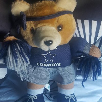 bikernerdyninja's profile picture. 