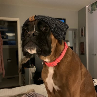 KevinCoker1's profile picture. LakerNation, Habs, Cowboys