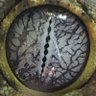 ozarklifer's profile picture. Another wandering (wondering) soul just tryin' to make it by...