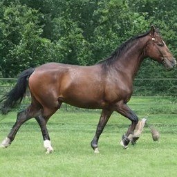 Stephan12015324's profile picture. 嘿嘿