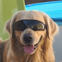 📯Postmaster General Boomer 📯 (@ministerboomer) 's Twitter Profile