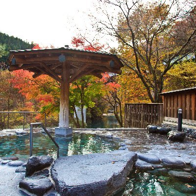 shimaseiryunoyu's profile picture. 