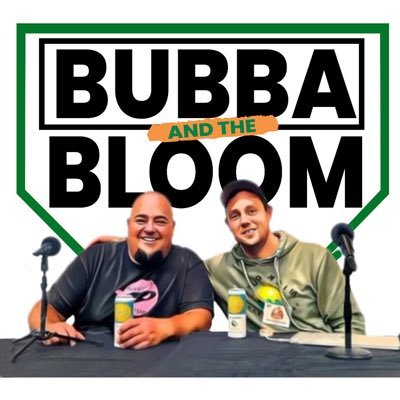 Two buddies talking #FantasyBaseball. Episodes every Wednesday and Friday from @bdentrek and @RyanBHQ.
🏆 2023 @FSWA Baseball Podcast of the Year finalist.