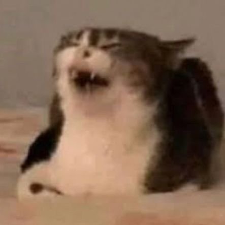 GuiCleveland's profile picture. 