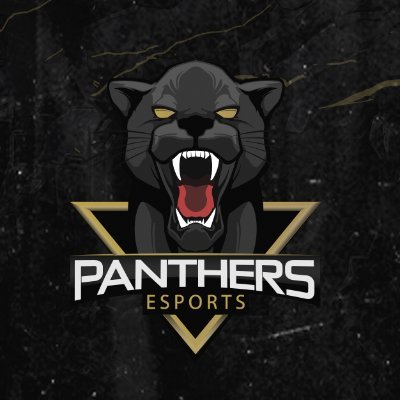 PANTHERS ESPORTS