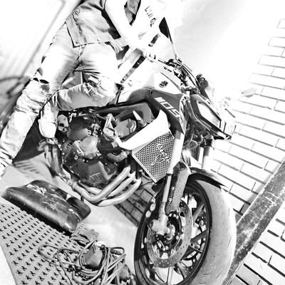 DannyDanii3l's profile picture. Para mí, la masculinidad es cuando te comes las sobras del almuerzo aunque no quieras.  Se trata de hacer lo que hay que hacer.