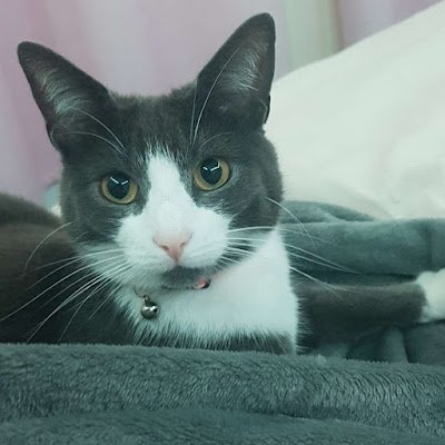 megrobbins1234's profile picture. 