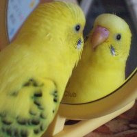 聖劉 (@since2005sora) 's Twitter Profile