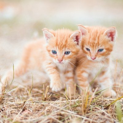 X92AO7Hgg8vPpLC's profile picture. 所以說,要說什麼?