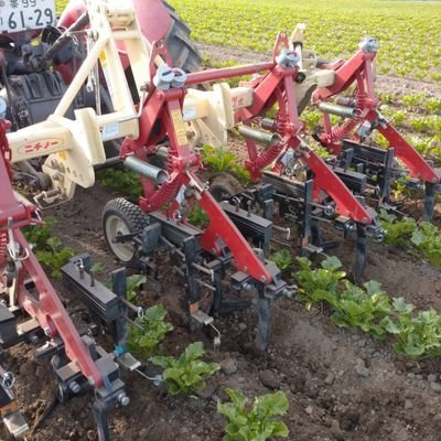 ryuiso23468's profile picture. パズル・アニメ等が好きです!!(最近のアニメはシナリオがはんぱなく面白いw)宜しくお願いいたします!!