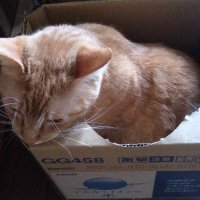 ディー🌽🌲💫🍬 (@dhi1007xx) 's Twitter Profile Photo