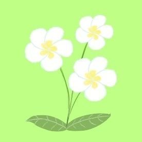 かめた🥕👯‍♀️さんのプロフィール画像