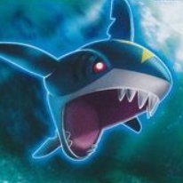 CardSharpedo11 Profile Picture