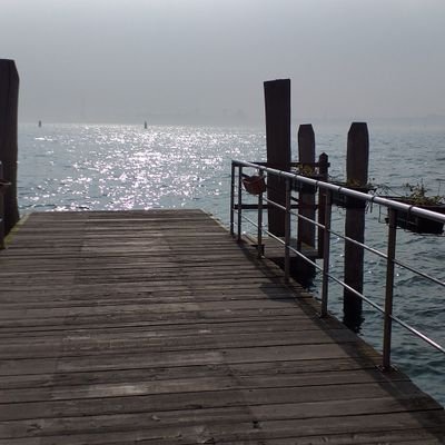 SophieProdo1's profile picture. Professeur des écoles 
Préfère vivre près des recifs que des hautes cimes