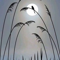 samar khan (@samarkh03303003) 's Twitter Profile