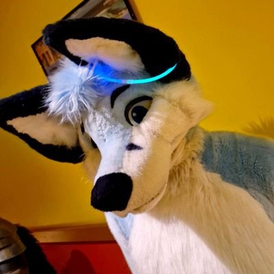 DIY guy, furry, GAY Af 27M
Speak 🇨🇵🇬🇧.
Interested in Cars and space.
CNC machinist
