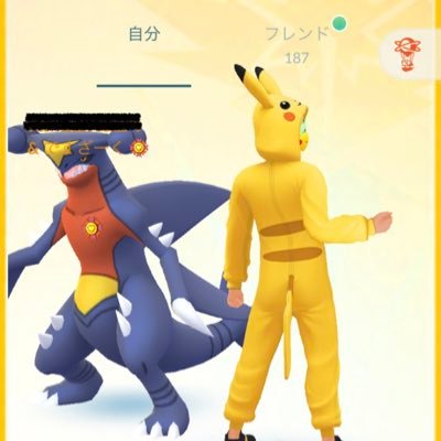 ポケGO垢/黄/TL46/RaizZita24 大阪でまったり活動 高1 基本何でもフォロバするよ　@ZitaFootball777←趣味垢です 興味あればお願いします🥺