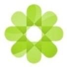 Your Ally Foundation, Inc (@ally_foundation) 's Twitter Profile Photo