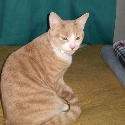 mickakyuz's profile picture. 