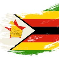 Zimbabwean Youth (@youthzim) 's Twitter Profile
