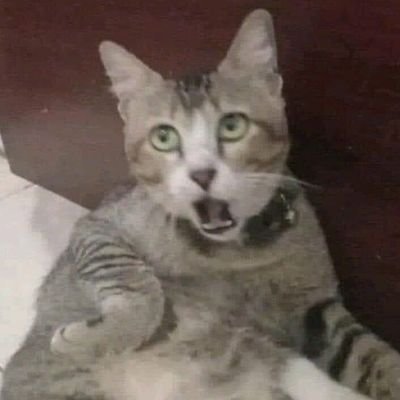 fadjarfadia's profile picture. Urban and Regional Planning Engineer 👷