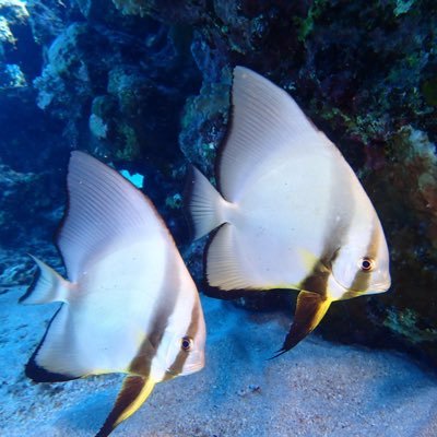 emde_k's profile picture. 