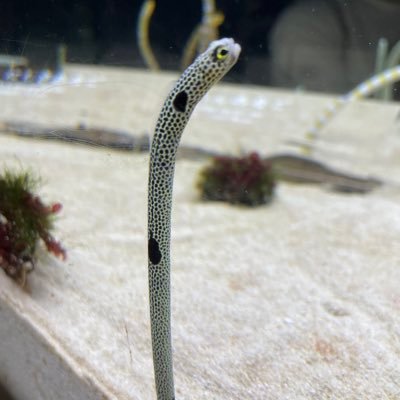 megumi_tgm's profile picture. 無言フォローすみません。