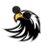 The Hawk Eye