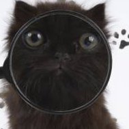 zofiakrl4's profile picture. (💙,🧡) (🛸) 🏰