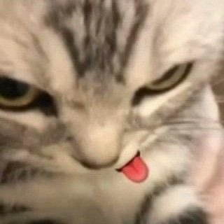 sofianotfirstt's profile picture. no more galau galau