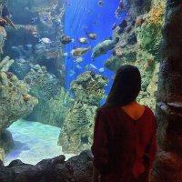 Paula Schultz (@paulaschultz__) Twitter profile photo
