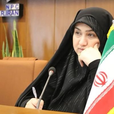 نماینده مردم شریف تهران، ری، شمیرانات، اسلامشهر و پردیس در مجلس شورای اسلامی/رئیس فراکسیون محیط زیست مجلس یازدهم/ فعال و سیاستپژوه محیط زیست