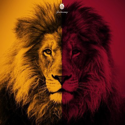 redyellow98's profile picture. 