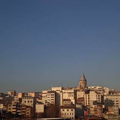 Busegenc3452's profile picture. 