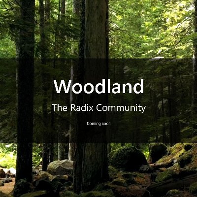 WoodlandXRD's profile picture. 