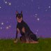 Raptor (@DobermanRaptor) Twitter profile photo Raptor (@DobermanRaptor) Twitter profile photo