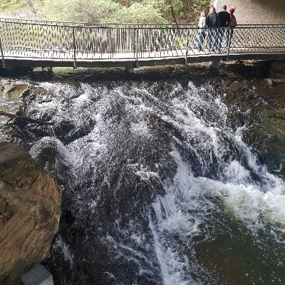 jeb_poole's profile picture. I love everybody.