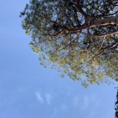 alessan73030106's profile picture. 