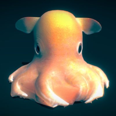 Daily lil guys and fun facts about them! DMs open if you want to suggest any octopuses :)  header is a giant pacific octopus and pfp is a dumbo octopus