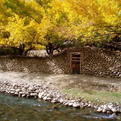 دعشق په کلیمو باندې مینځلي زړونه راوړی، چې یار مو سخت ځورېدلی.