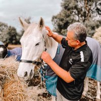 Julio Santarelli(@santassnippets) 's Twitter Profile Photo