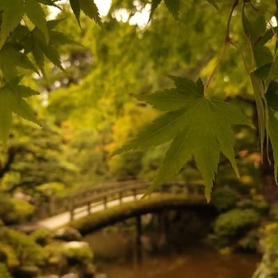 10時30分以降機能停止してます