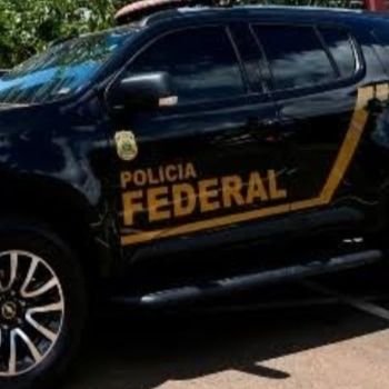 Paulo_Donner's profile picture. 🇧🇷 #ConvocaTodosPF2021 ⬛️🟨