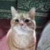 Julie (@lubylou64th) Twitter profile photo Julie (@lubylou64th) Twitter profile photo