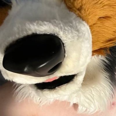 AD of a certain Aussie | 33 | no empty profiles | a bit picky with follow requests
