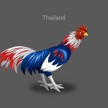 GiayBaTa11's profile picture. 